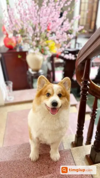 Ảnh 2