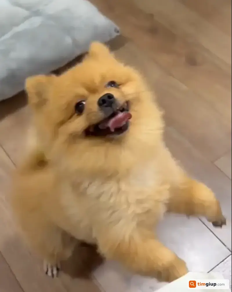Ảnh 2