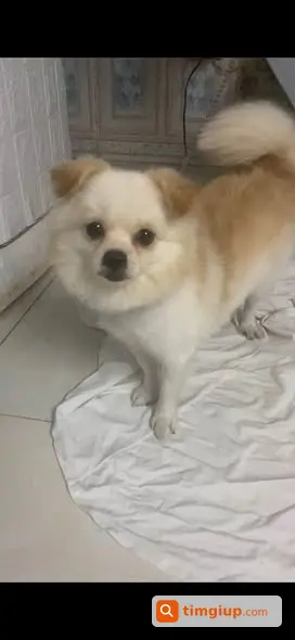 Ảnh 2