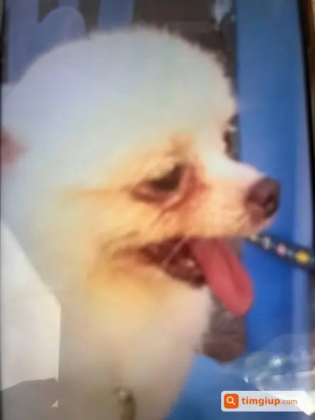 Ảnh 2