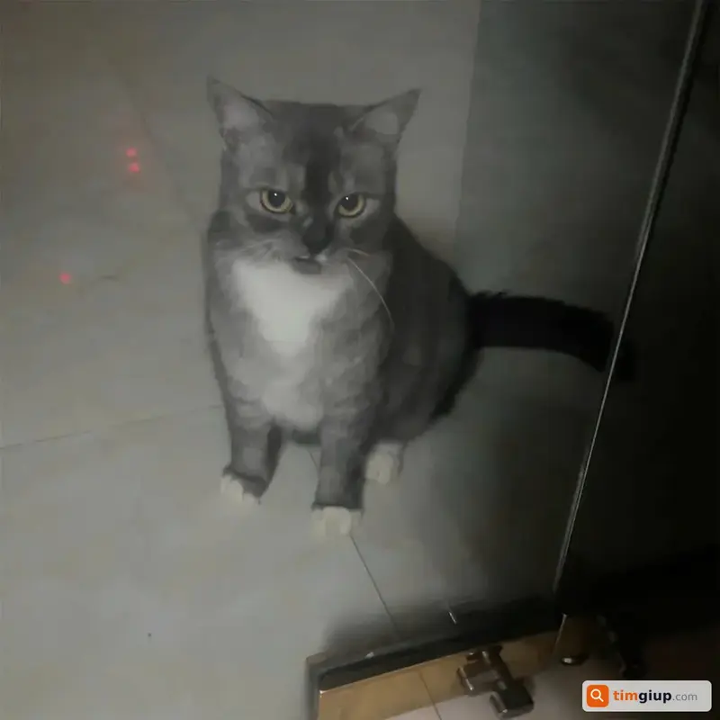 Ảnh 2
