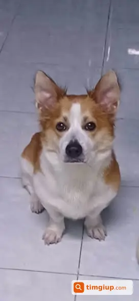 Ảnh 3