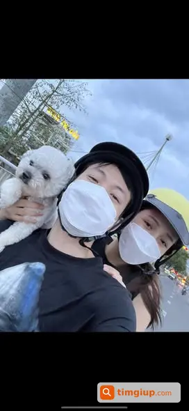 Chó Tiny Poodle Thất Lạc Đêm 13-9 Tại Thanh Nhàn Hà Nội
