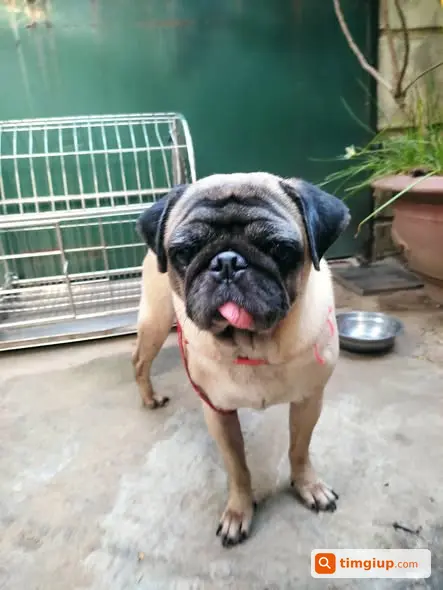Nhặt Được Bé Đi Lạc Quanh Siêu Thị Hoa Anh Trí, Tây Hồ