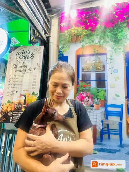 Mèo Thất Lạc Tại Nguyễn An Ninh, Tương Mai, Hà Nội