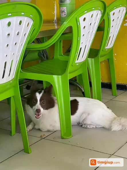 Ảnh 2