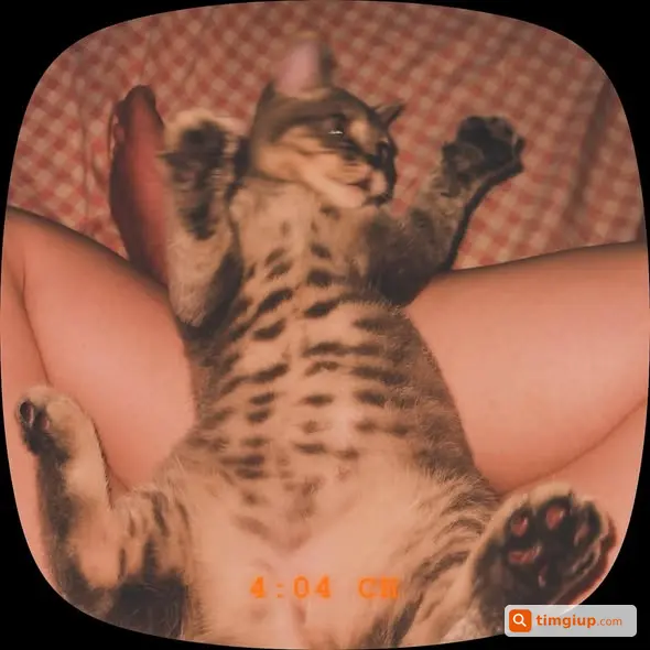 Ảnh 2