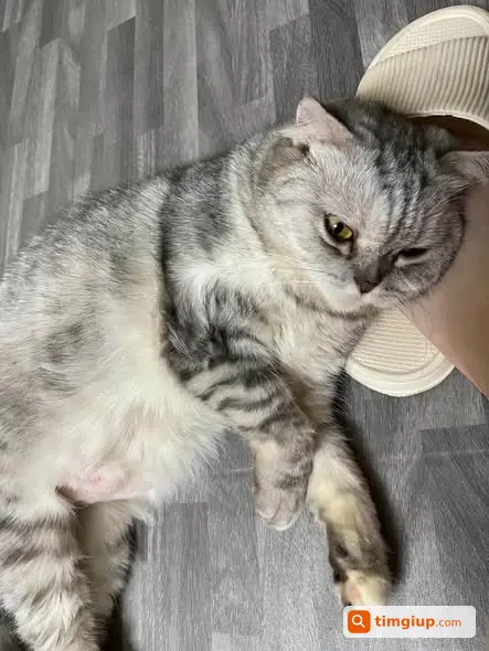 Ảnh 3