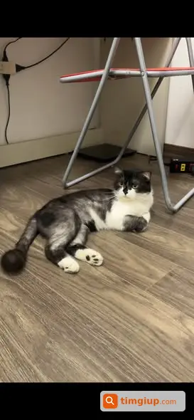 Ảnh 3
