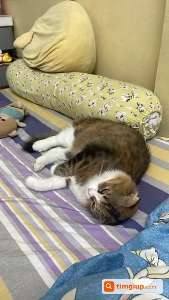 Ảnh 3