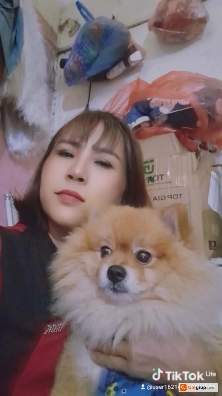 Ảnh 2