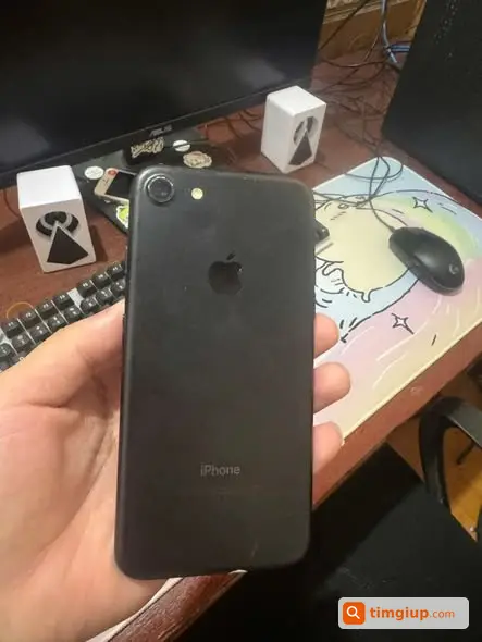 Ảnh 3