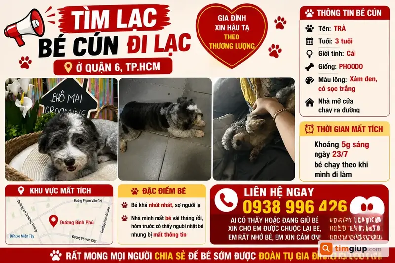 Tìm Chó Trà Màu Xám Đen Thất Lạc Tại Quận 6, TP.HCM
