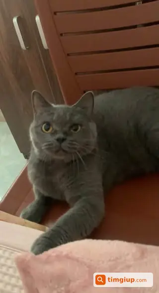 Ảnh 2