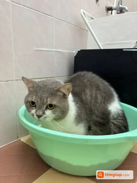 Ảnh 2