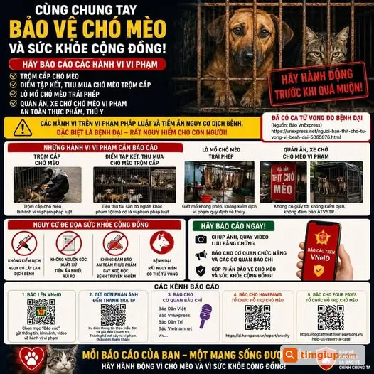 Kêu Gọi Báo Cáo Điểm Thu Mua, Giết Mổ Chó Mèo Trái Phép