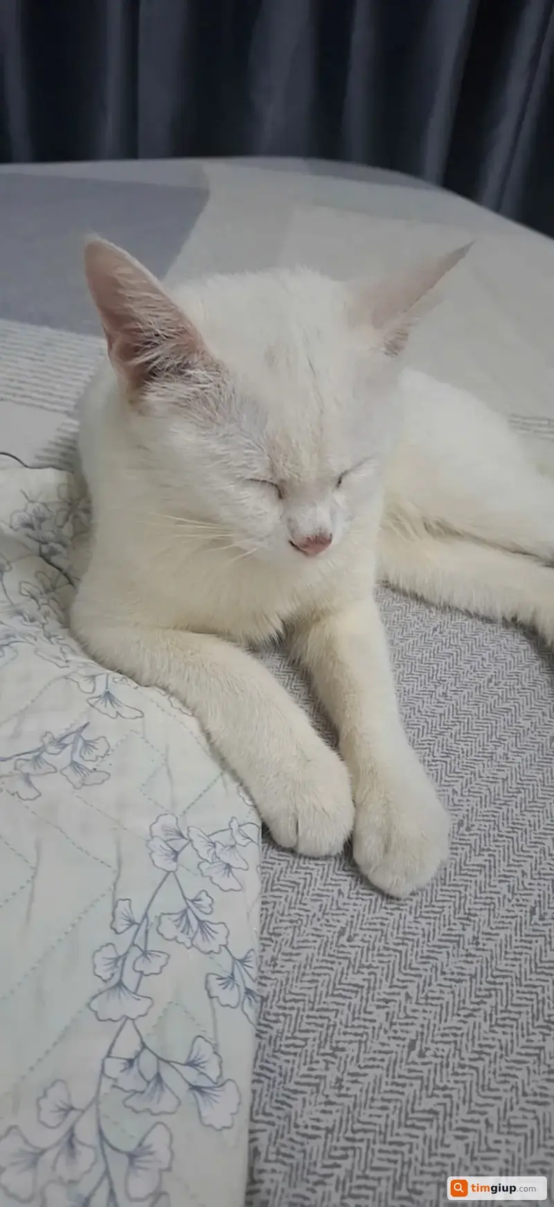 Ảnh 2