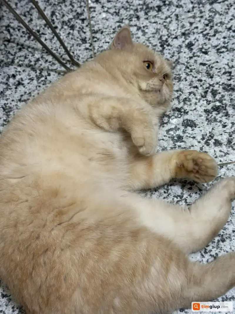 Ảnh 3