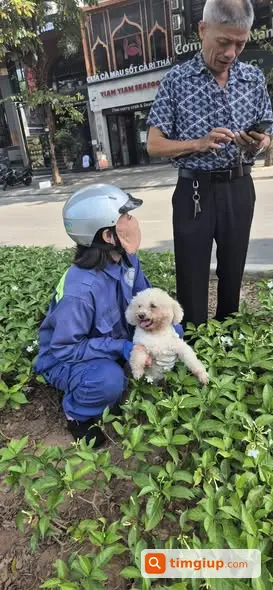 Cứu Bé Bị Lạc Trên Đường Đào Tấn Lúc 8h30
