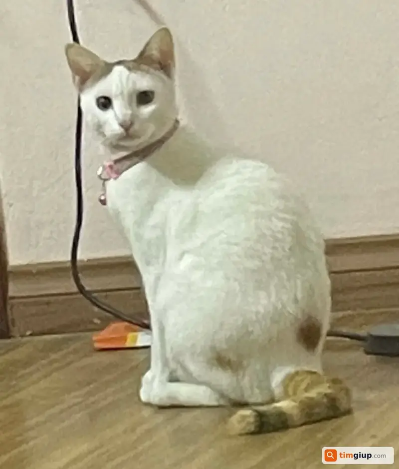 Ảnh 2