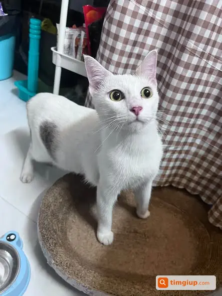 Ảnh 2