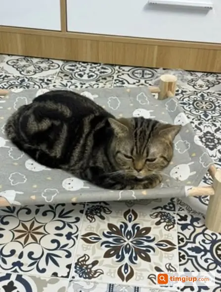 Ảnh 3