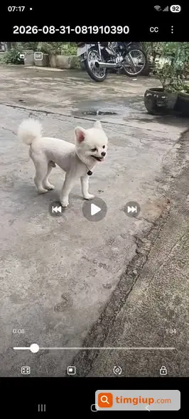 Ảnh 2
