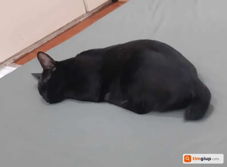 Ảnh 3