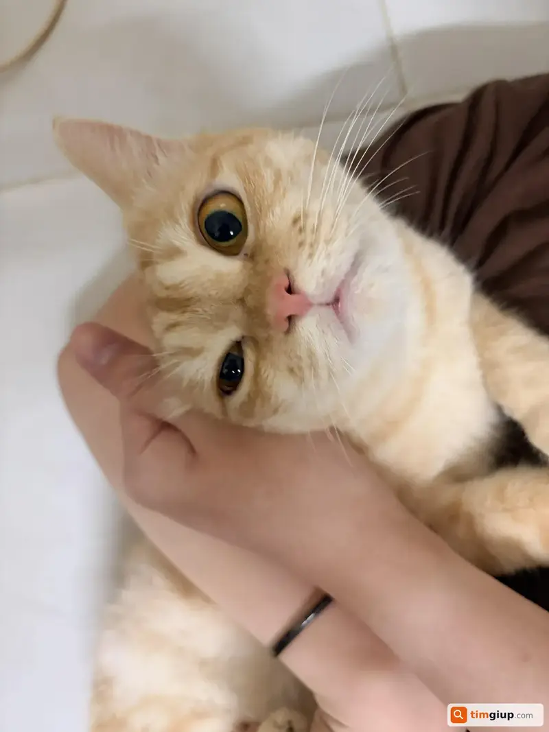 Ảnh 3