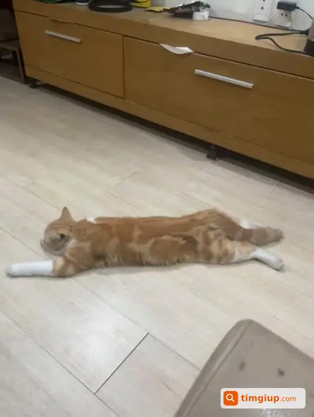 Ảnh 2