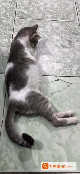 Ảnh 2