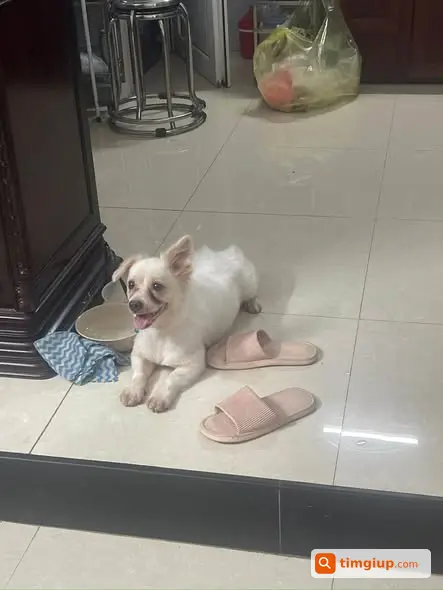Ảnh 2