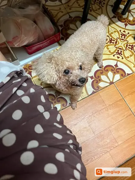 Ảnh 5