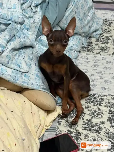 Ảnh 2