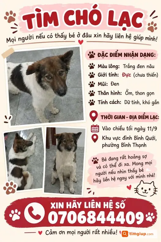 Bé Non Đi Lạc Tại Khu Vực Bình Quới - Thanh Đa, Bình Thạnh