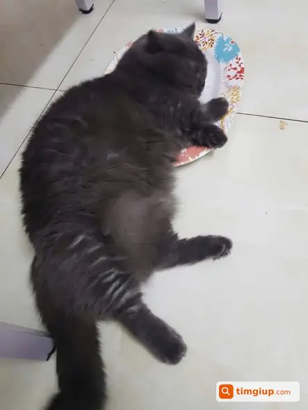 Ảnh 2