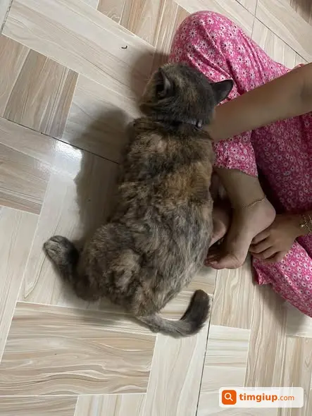Ảnh 5