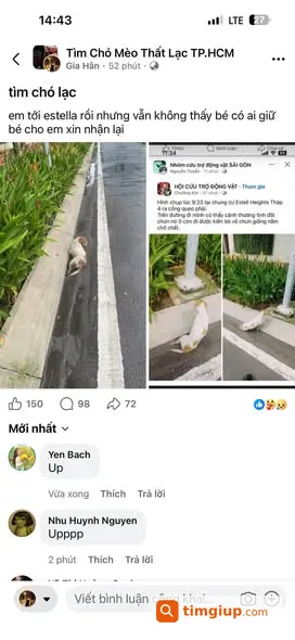 Ảnh 2