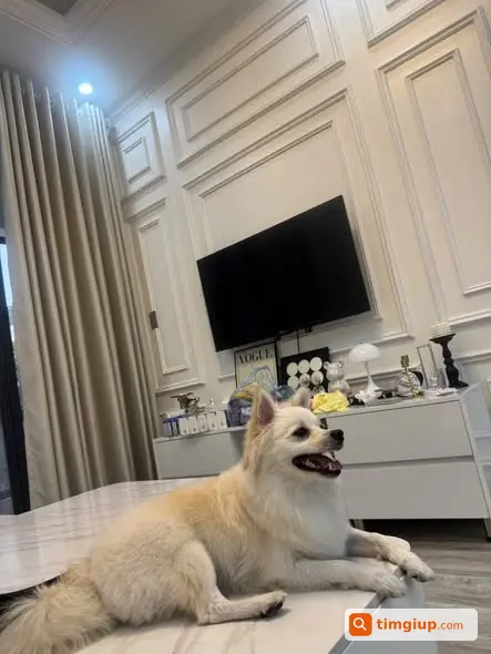 Ảnh 2