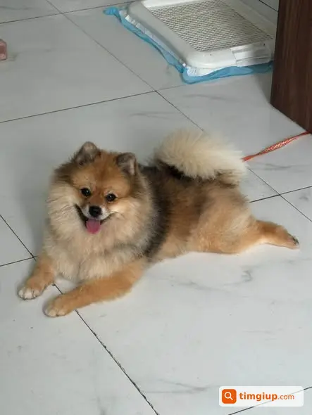 Ảnh 2