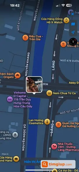 Nhặt Được Chó Phốc Bị Lạc Dưới Cầu Nguyễn Chí Thanh