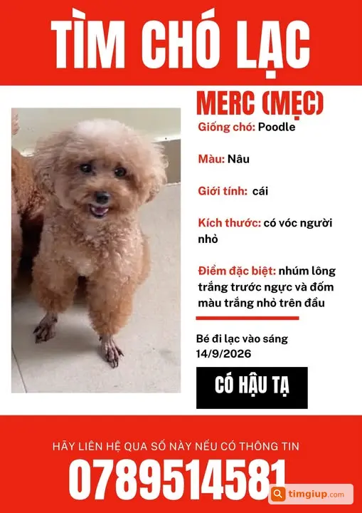 Bé Cún Đi Lạc Tại Khu Vực Trại Tạm Giam T30, Củ Chi
