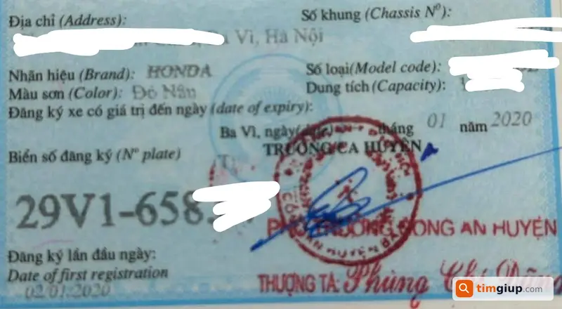 Ảnh 2