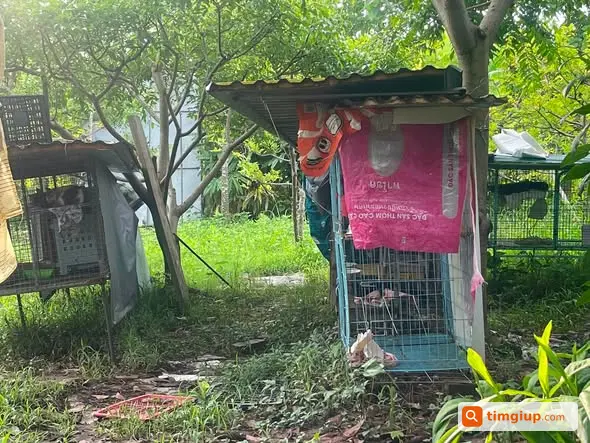 Tìm Hỗ Trợ Sửa Mái Ấm Nhà Mèo Tại Chương Mỹ, Hà Nội
