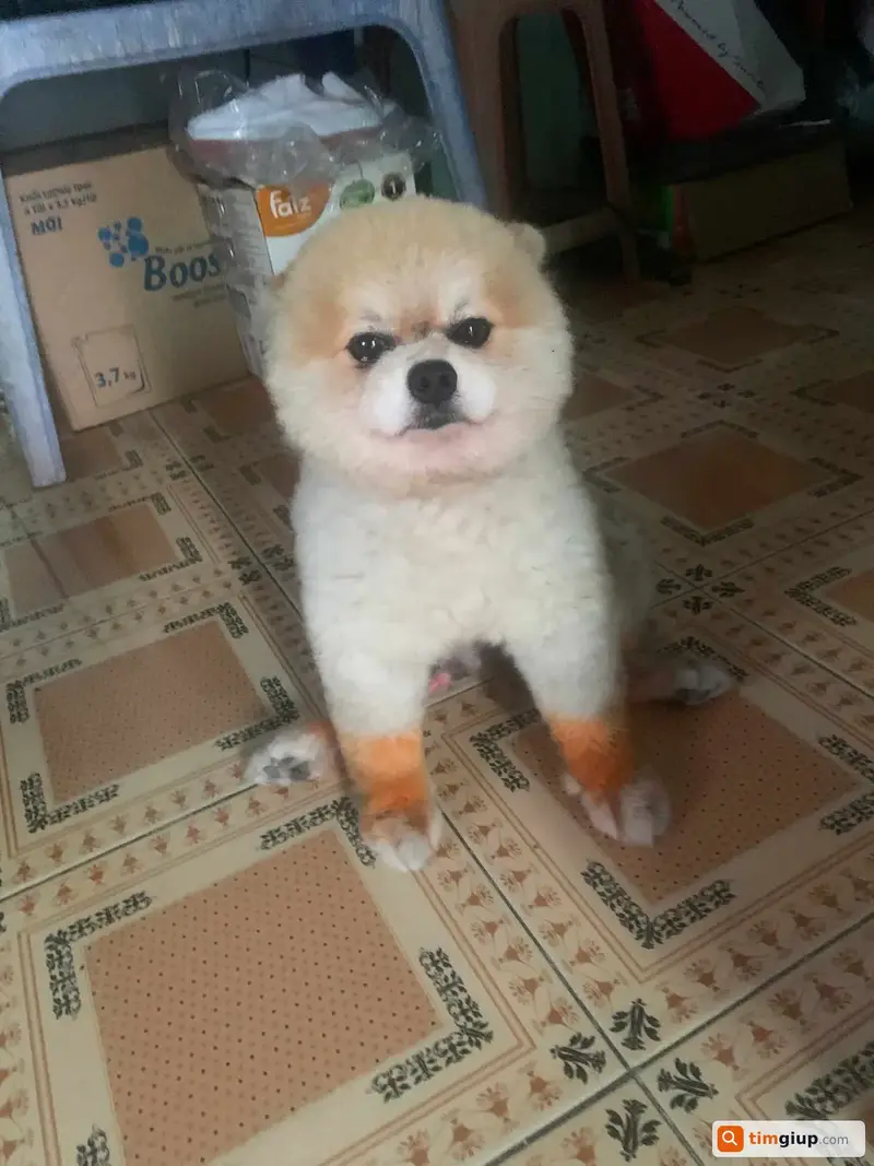 Ảnh 5
