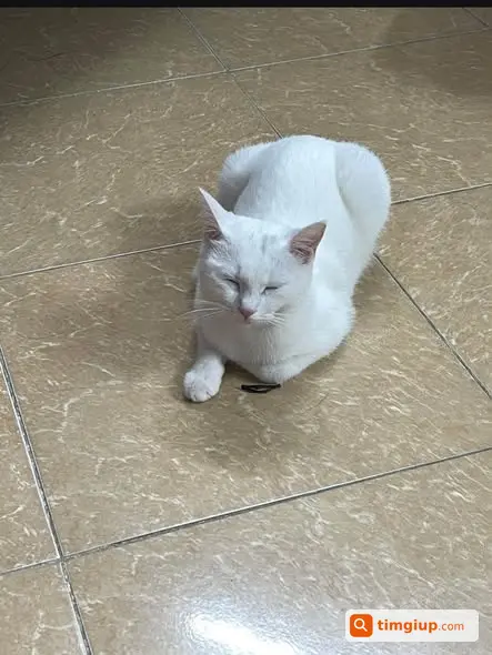 Ảnh 2