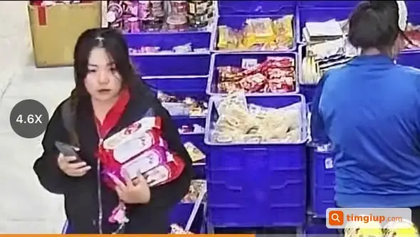 Cún Bento Của Shop Bị Bế Đi, Nhờ Tìm Người Đã Mang Bé Đi