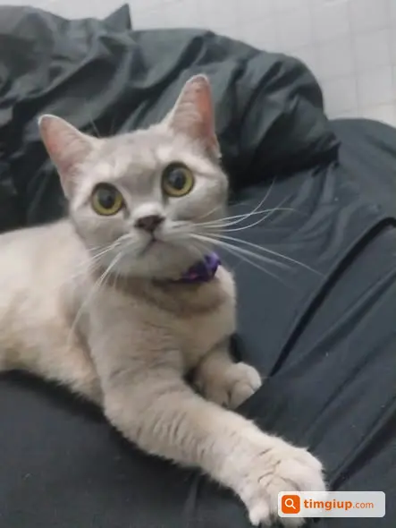 Ảnh 3