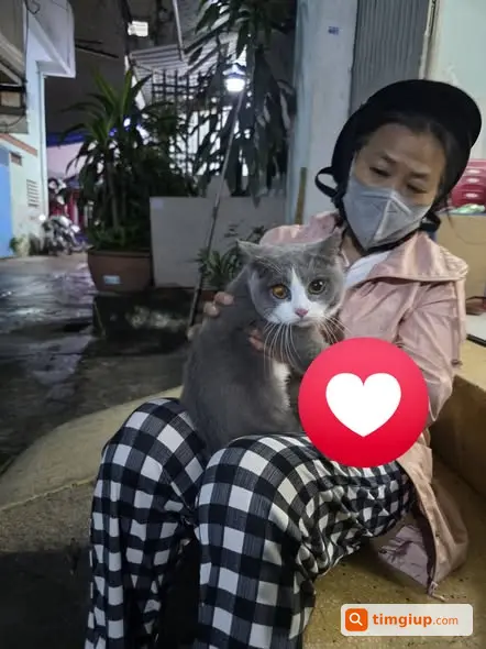 Ảnh 2