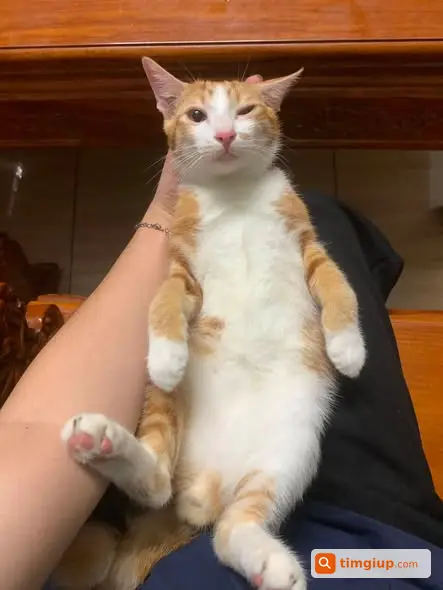 Ảnh 3